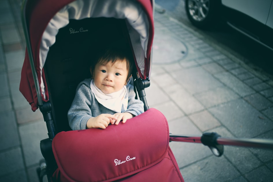 Top Stroller Accessories for Parents